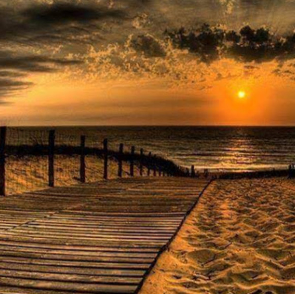 Meet your Posher, Dawn - Picture 1 of 1